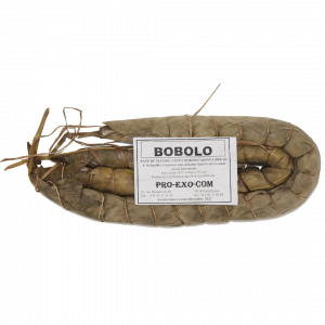 Bobolo Cameroun