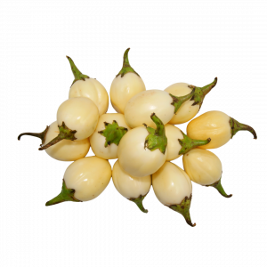 Aubergine d'Afrique Blanche CIV