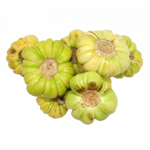 Djakatou (Petite aubergine) CIV