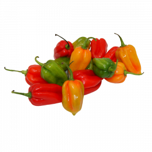 Piments frais