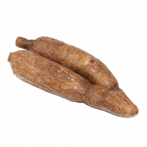Manioc Cassava