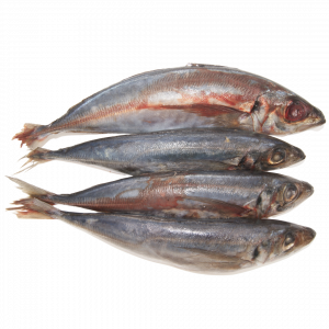 Chinchard entier 300/500g