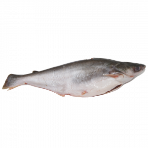 Pangasius ent V/G vn 500/800g