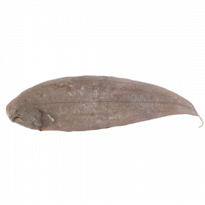 Sole ent 400/600g