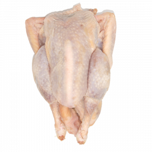 Poule blanche